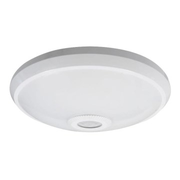 Iluminação de teto LED com sensor LED/12W/230V