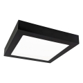 Iluminação de teto LED FENIX LED/12W/230V 3800K 17 cm
