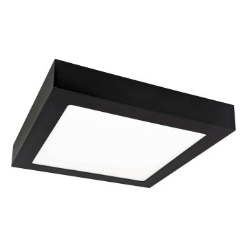 Iluminação de teto LED FENIX LED/12W/230V 3800K 17 cm