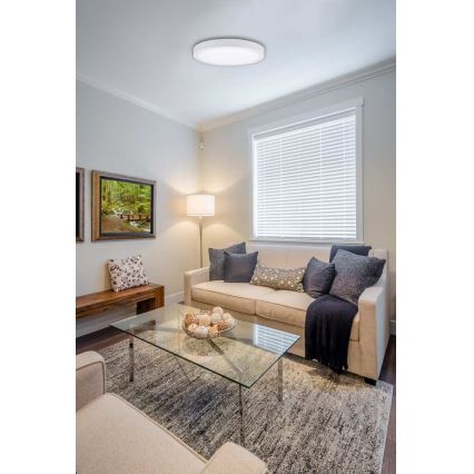 Iluminação de teto LED FENIX LED/12W/230V 3800K diâmetro 17 cm neve branco