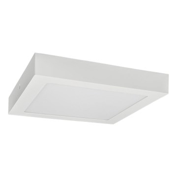 Iluminação de teto LED FENIX LED/18W/230V 3800K 22,5 cm