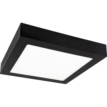 Iluminação de teto LED FENIX LED/18W/230V 3800K 22,5 cm