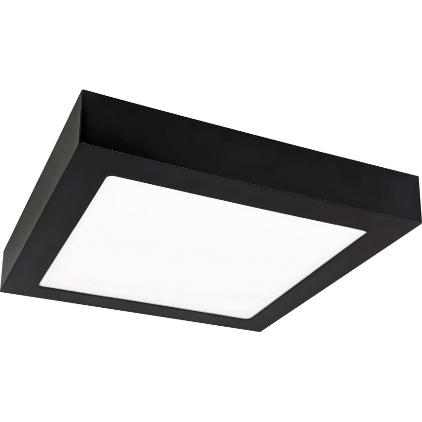 Iluminação de teto LED FENIX LED/18W/230V 3800K 22,5 cm