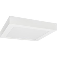 Iluminação de teto LED FENIX LED/18W/230V 3800K 22,5 cm neve branco
