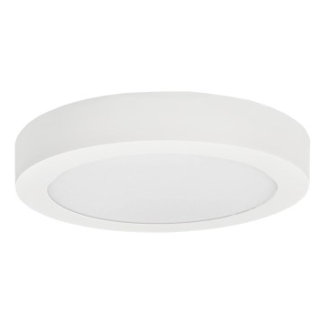Iluminação de teto LED FENIX LED/24W/230V 3800K diâmetro 29,8 cm neve branco