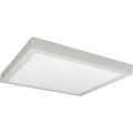 Iluminação de teto LED FENIX LED/32W/230V 3800K 40 cm branco