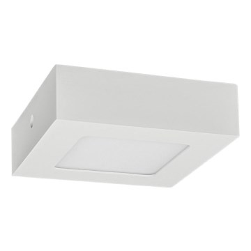 Iluminação de teto LED FENIX LED/6W/230V 2800K 12 cm