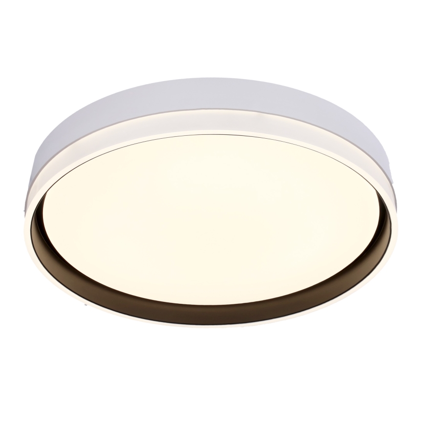 Iluminação de teto LED FLORIDA LED/24W/230V branco