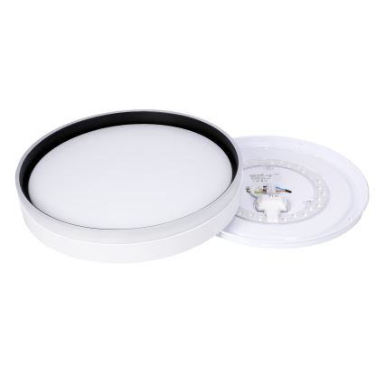 Iluminação de teto LED FLORIDA LED/24W/230V branco