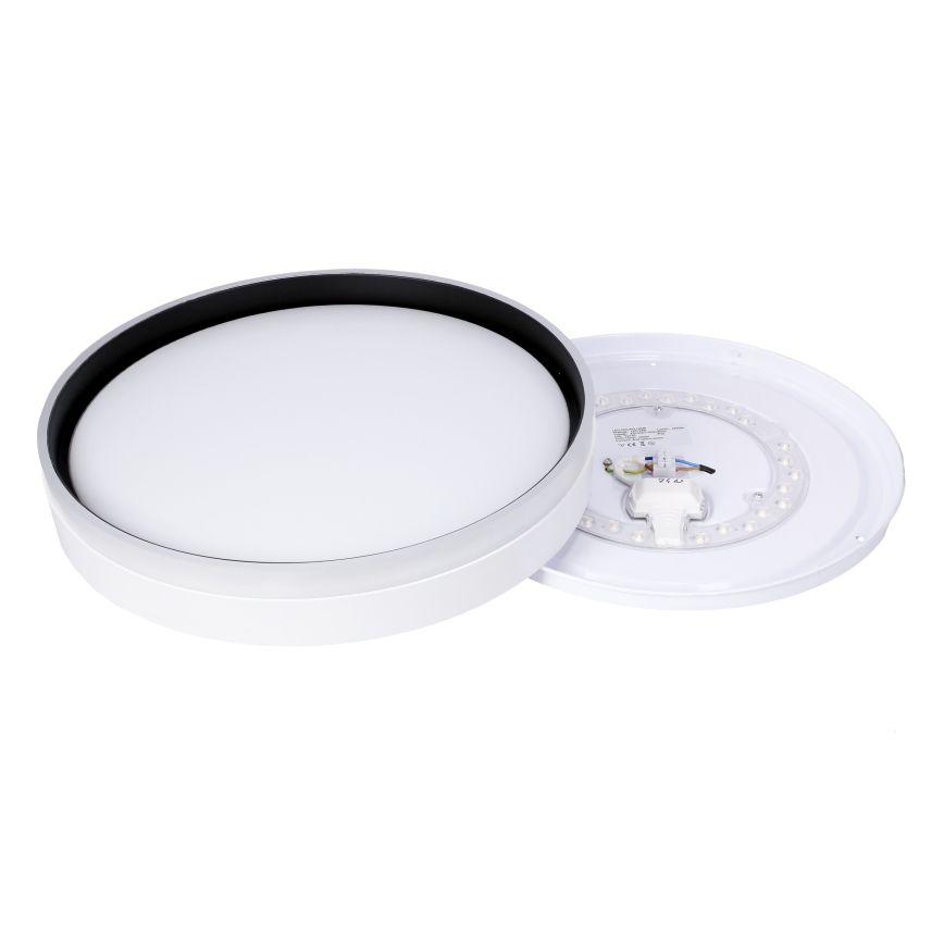 Iluminação de teto LED FLORIDA LED/24W/230V branco