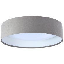 Iluminação de teto LED GALAXY 1xLED/24W/230V cinzenta/branca