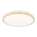 Iluminação de teto LED GANDAVA LED/24W/230V