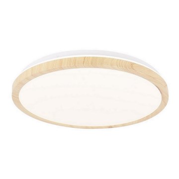 Iluminação de teto LED GANDAVA LED/24W/230V