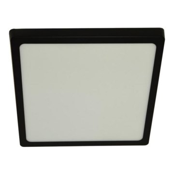 Iluminação de teto LED GERRY LED/24W/230V 4000K preto