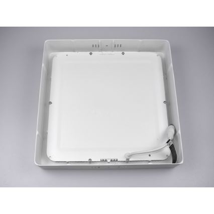 Iluminação de teto LED GERRY LED/24W/230V 6000K