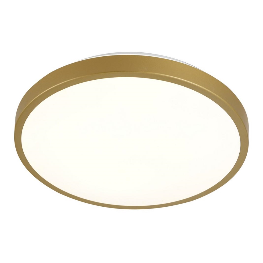 Iluminação de teto LED KERN LED/24W/230V d. 39 cm