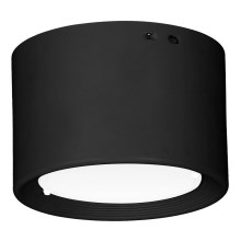 Iluminação de teto LED LED/10W/230V preto diâmetro 10 cm