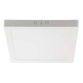 Iluminação de teto LED LED/12W/230V 4000K 16,7x16,7 cm branco