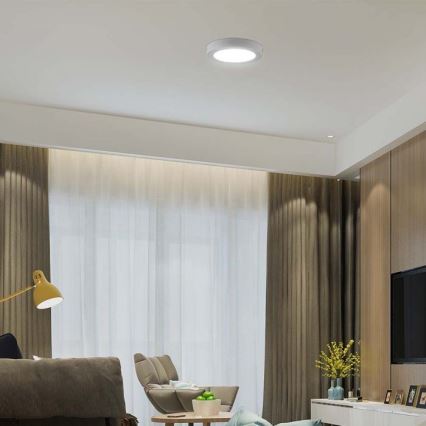 Iluminação de teto LED LED/18W/230V 6500K diâmetro 21,6 cm