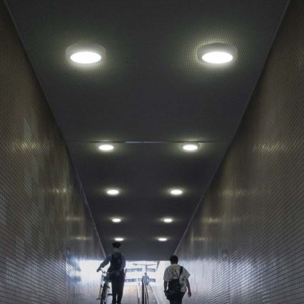 Iluminação de teto LED LED/18W/230V 6500K diâmetro 21,6 cm