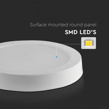 Iluminação de teto LED LED/18W/230V 6500K diâmetro 21,6 cm