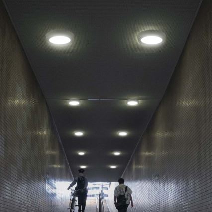 Iluminação de teto LED LED/24W/230V 3000K diâmetro 28,8 cm
