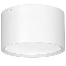 Iluminação de teto LED LED/25W/230V branco diâmetro 15 cm