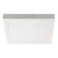 Iluminação de teto LED LED/6W/230V 4000K 12x12 cm branco
