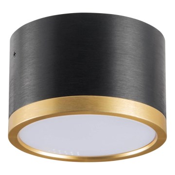 Iluminação de teto LED MIRELLA 1xGX53/6W/230V preto/dourado