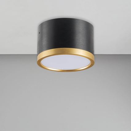 Iluminação de teto LED MIRELLA 1xGX53/6W/230V preto/dourado