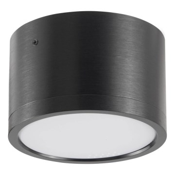 Iluminação de teto LED MIRELLA 1xGX53/6W/230V preto