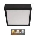 Iluminação de teto LED NEXXO LED/12,5W/230V 3000/3500/4000K 17x17 cm preto