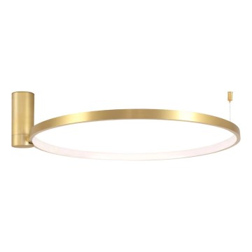 Iluminação de teto LED NOEMI LED/20W/230V 4000K diâmetro 50 cm dourado