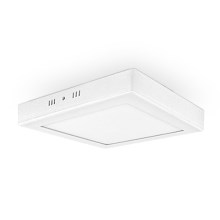 Iluminação de teto LED ORTO SQ-NT LED/24W/230V 3000K 28,5x28,5 cm