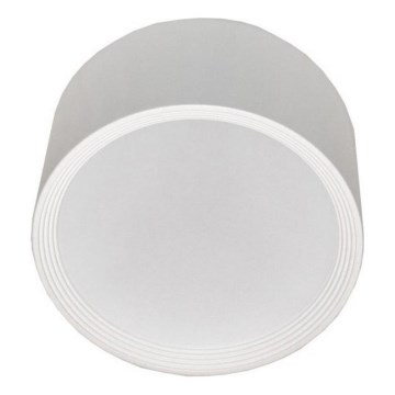 Iluminação de teto LED PERCI LED/30W/230V IP40 4000K branco