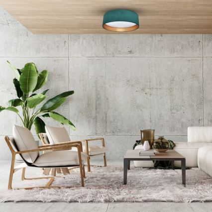 Iluminação de teto LED RONDO LED/18W/230V verde