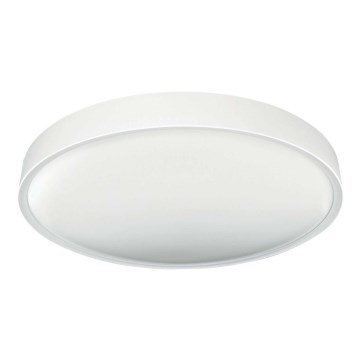 Iluminação de teto LED SAMER LED/24W/230V 4000K