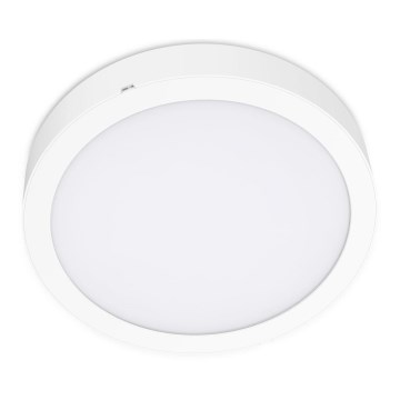 Iluminação de teto LED SIGARO CIRCLE LED/18W/230V 4000K IP40