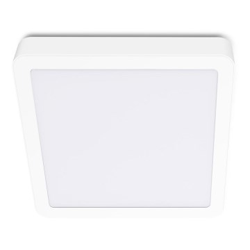 Iluminação de teto LED SIGARO SQUARE LED/24W/230V 4000K IP40