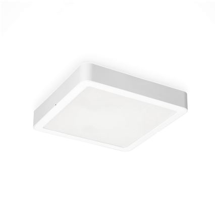 Iluminação de teto LED SIGARO SQUARE LED/24W/230V 4000K IP40