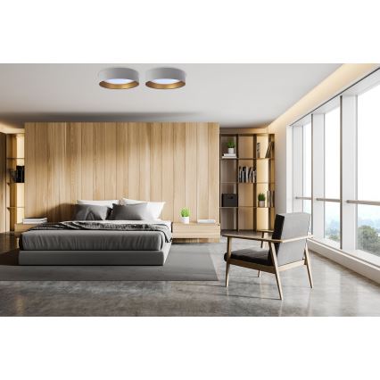 Iluminação de teto LED com regulação SMART GALAXY LED/24W/230V d. 45 cm 2700-6500K Wi-Fi Tuya cinzento/dourado + controlo remoto