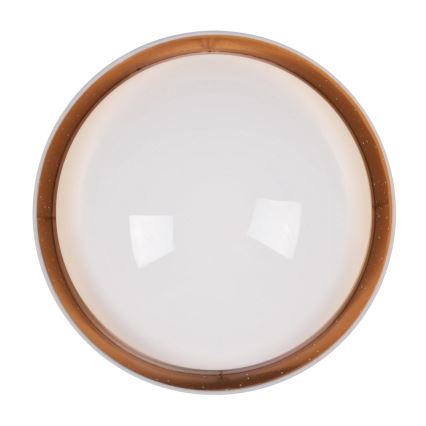 Iluminação de teto LED TULUZA LED/24W/230V diâmetro 40 cm branco