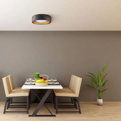 Iluminação de teto LED TULUZA LED/24W/230V diâmetro 40 cm preto