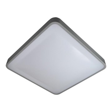 Iluminação de teto LED WILTON LED/24W/230V 37,5x37,5 cm cinzento