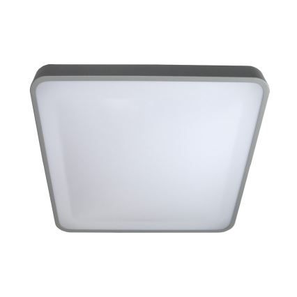 Iluminação de teto LED WILTON LED/24W/230V 37,5x37,5 cm cinzento