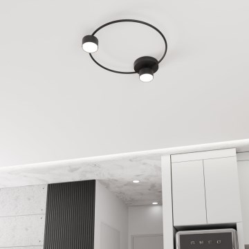Iluminação de teto LUCIO 2xGX53/12W/230V preto