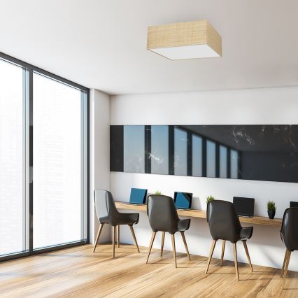 Iluminação de teto MARSHALL 2xE27/60W/230V