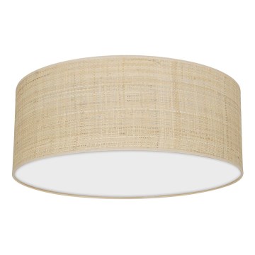 Iluminação de teto MARSHALL 2xE27/60W/230V