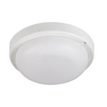 Iluminação de teto para casa de banho LED TOLU LED/9W/230V 4000K IP54 branco