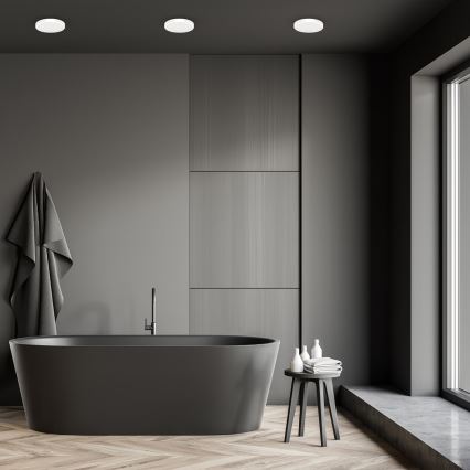 Iluminação de teto para casa de banho LED VERA LED/18W/230V 4000K IP65 branco